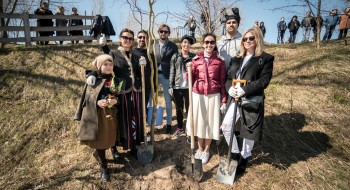 З ескізу до реальності: на кіностудії FILM.UA буде рости Верба Мавки