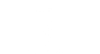 Ярослав Войцешек. Телемарафон до Дня Незалежності України